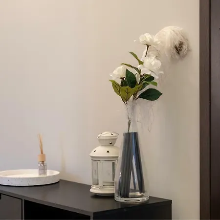 Midnight Blue * Burgas Stad